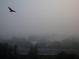 Delhi AQI Nears 400 'Severe': Smog Hits Flights, Health