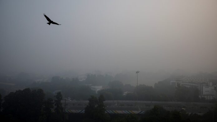 INDIA-POLLUTION--1_1731893607555_1731893621613 Delhi AQI Nears 450 'Severe': Smog Hits Flights, Health