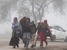 Weather Update: Cold wave alert in several states including Delhi and Punjab, fog and icy winds will increase the trouble