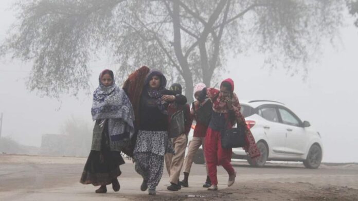 Weather Update: Cold wave alert in several states including Delhi and Punjab, fog and icy winds will increase the trouble Weather Update: Cold wave alert in several states including Delhi and Punjab, fog and icy winds will increase the trouble