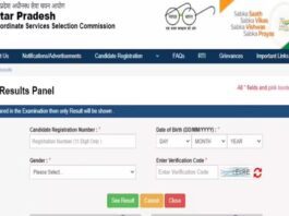 UPSSSC PET Result 2025 OUT: UP PET result released, direct link to download scorecard here