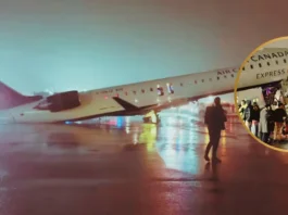 LaGuardia Airport Plane Crash 2026: 2 Dead as Air Canada Jet Hits Truck