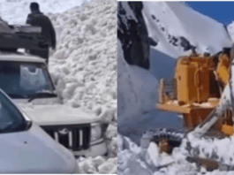 Zojila Pass Tragedy: 7 Dead, 5 Injured as Massive Avalanche Buries Vehicles on Srinagar-Leh Highway
