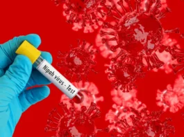 Nipah virus threat in Kerala! 43-year-old businessman tests positive, health department alert