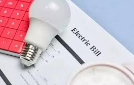 Monthly Tariff Fluctuations: The Mechanics of the Delhi Electricity Bill Hike PPAC