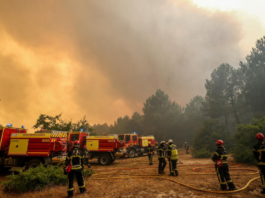 Europe Wildfires Force Nearly 200,000 Evacuations as France and Spain Battle Massive Blazes Europe Wildfires Force 200,000 Evacuations Across France and Spain