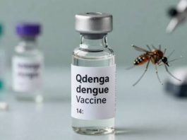 Public Health Milestone: DCGI Approves Takeda’s QDENGA as India’s First Vaccine Against Dengue DCGI approves QDENGA dengue vaccine Takeda India 4-60 years