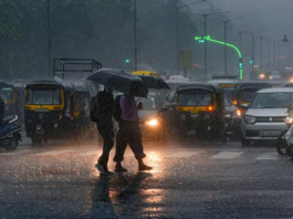 Monsoon Tracker: Red Alert Issued for Mumbai, Thane, and 5 Odisha Districts Amid Heavy Rain